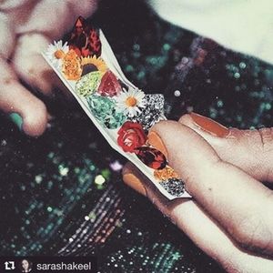 Meet your Posher, Mischa